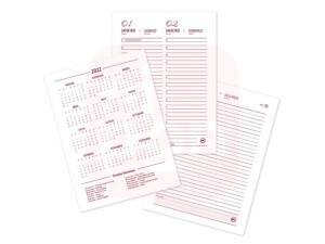 Agenda Executiva A6 Milk 2022 - DAC